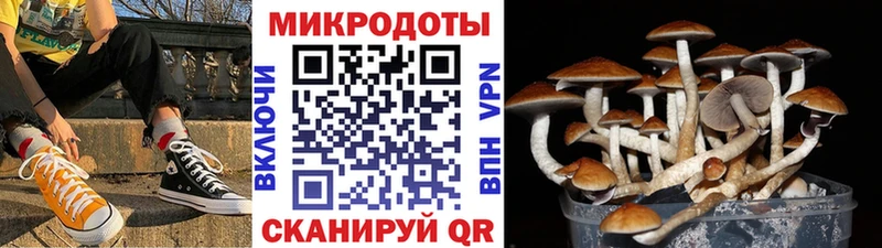 Псилоцибиновые грибы мухоморы  Купить где  Борисоглебск 