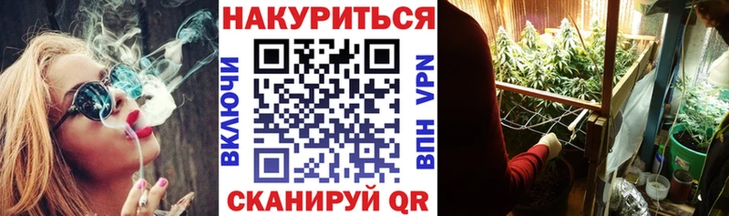 Конопля индика  Купить закладки  Борисоглебск 